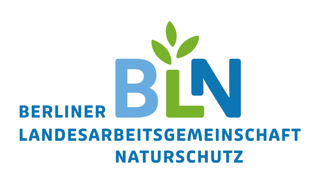 BLN Logo Kompakt